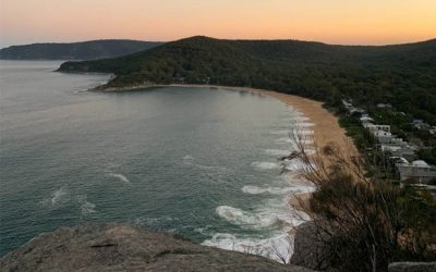 How did your suburb fare during the COVID-19 crisis?