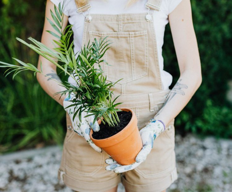 7 ways to make your property more attractive to potential buyers
