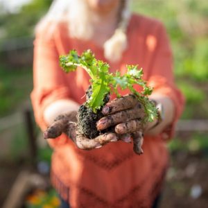 Green thumbs beware: one-third of veggie gardens contaminated with lead