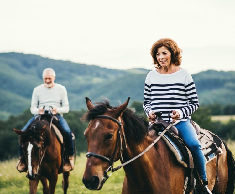 Hold your horses: RBA hikes cash rate again to 2.85%