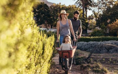 Ever dreamed of escaping the city?